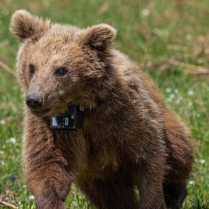 EmporioKozanisArkoudaki3 5 2025 3