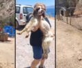 Διαψεύδουν τον δήμαρχο που τα βρίσκει όλα καλά για τα σκυλιά παρά τις άθλιες συνθήκες στο Δημοτικό Κυνοκομείο Λέρου (βίντεο)