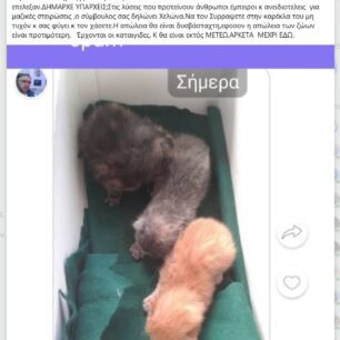 OAKAgatesMarousi12 4 2023 1