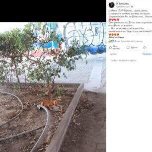 OAKAgatesMarousi13 7 2023 1