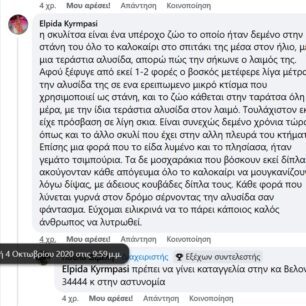 Ρόδος: Γιατί κανείς δεν σταματάει την κακοποίηση αγελάδων που είναι χωρίς νερό κάτω από τον καυτό ήλιο; (Βίντεο) 55 RodosAgelades4 10 2020 1