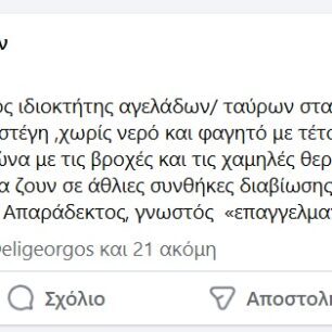 Ρόδος: Γιατί κανείς δεν σταματάει την κακοποίηση αγελάδων που είναι χωρίς νερό κάτω από τον καυτό ήλιο; (Βίντεο) 47 RodosAgeladesAfantou26 12 2024