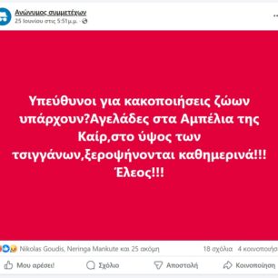 Ρόδος: Γιατί κανείς δεν σταματάει την κακοποίηση αγελάδων που είναι χωρίς νερό κάτω από τον καυτό ήλιο; (Βίντεο) 42 RodosAgeladesMonteSmithKair25 6 2025