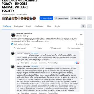 Ρόδος: Γιατί κανείς δεν σταματάει την κακοποίηση αγελάδων που είναι χωρίς νερό κάτω από τον καυτό ήλιο; (Βίντεο) 56 RodosAgeladesMonteSmithKair26 5 2020