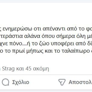 Ρόδος: Γιατί κανείς δεν σταματάει την κακοποίηση αγελάδων που είναι χωρίς νερό κάτω από τον καυτό ήλιο; (Βίντεο) 59 RodosaAgelades22 5 2021