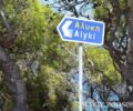 Πάρος: Αναζητούν ποιος κακοποιεί γάτες και τις πετάει στη θάλασσα στην Αλυκή (βίντεο)