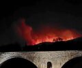 Το γήπεδο Φιλιππιάδας Πρέβεζας σημείο συγκέντρωσης ζώων από τις πυρόπληκτες περιοχές (βίντεο)