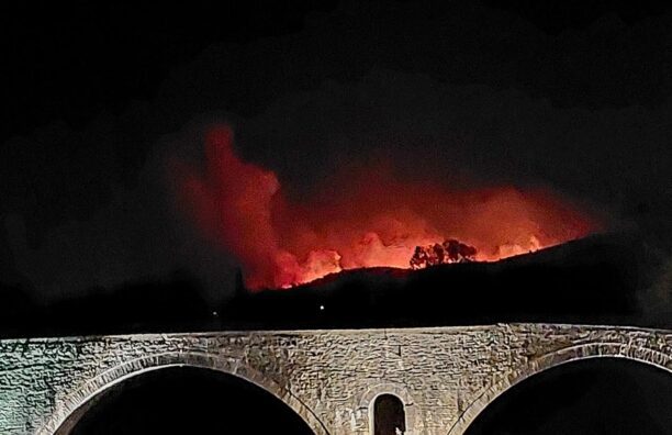 Το γήπεδο Φιλιππιάδας Πρέβεζας σημείο συγκέντρωσης ζώων από τις πυρόπληκτες περιοχές (βίντεο)