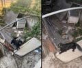 Ιερισσός Χαλκιδικής: Κακοποιεί τον σκύλο του και η Αστυνομία τον καλύπτει (βίντεο)