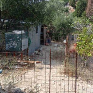 Κεφαλλονιά: Συνελήφθη άνδρας που άφηνε τα σκυλιά του χωρίς τροφή και νερό – Το ένα βρέθηκε νεκρό (βίντεο) 6 KefalloniaSamiSkylosNekros22 8 2025 4