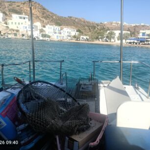 Απομάκρυναν και στείρωσαν 16 γάτες που ζούσαν στο ξερονήσι Πολύαιγος έναντι της Κιμώλου (βίντεο) 8 PolyaigosKimolouGates26 7 2025 8