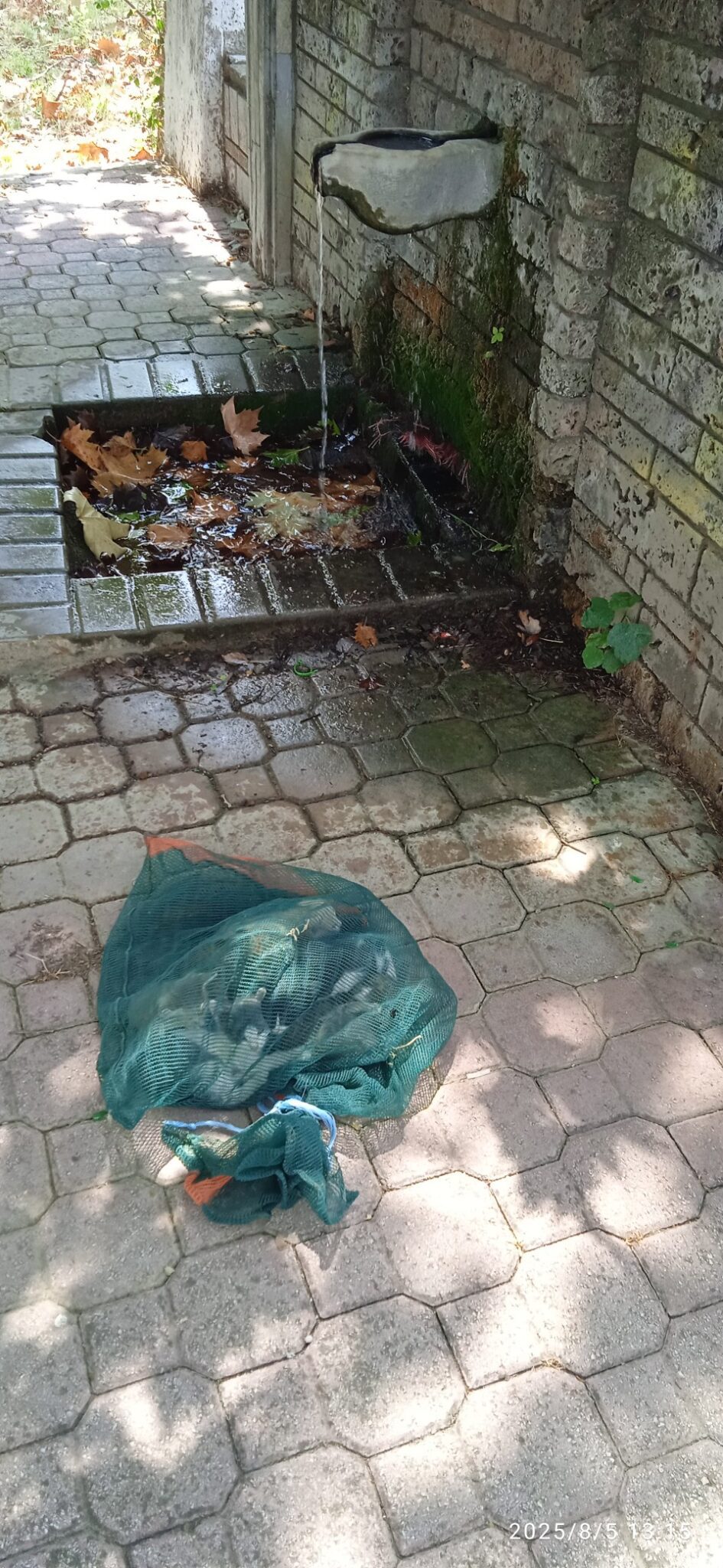 Σαρακίνα Τρικάλων: Έκλεισε ζωντανά γατάκια σε τσουβάλι και τα πέταξε (βίντεο) 1 SarakinaTrikalonGatakiaTsouvali6 8 2025 2