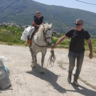 Άνδρος: Δολοφόνησε με φόλες δύο άλογα στον Πιτροφό 3 AndrosPitrofosAlogaDilitiriasmena9 2025 6