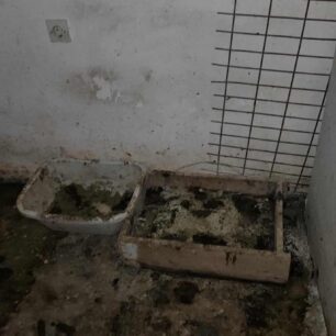 AxaiaPatraGateSyllektisKoprana29 10 2025 12