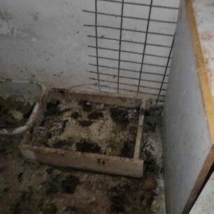 AxaiaPatraGateSyllektisKoprana29 10 2025 13