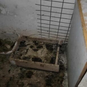 AxaiaPatraGateSyllektisKoprana29 10 2025 14