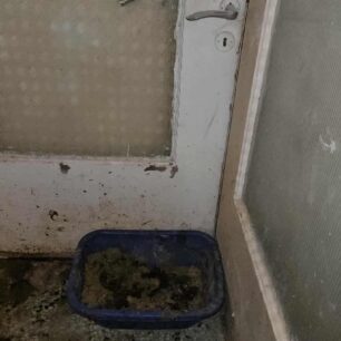 AxaiaPatraGateSyllektisKoprana29 10 2025 15