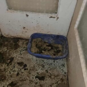 AxaiaPatraGateSyllektisKoprana29 10 2025 16