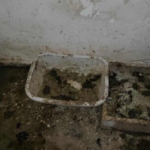 AxaiaPatraGateSyllektisKoprana29 10 2025 17