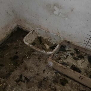 AxaiaPatraGateSyllektisKoprana29 10 2025 18