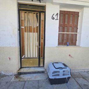 AxaiaPatraGateSyllektisKoprana29 10 2025 2