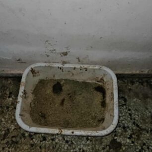 AxaiaPatraGateSyllektisKoprana29 10 2025 23