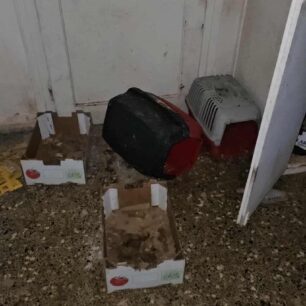 AxaiaPatraGateSyllektisKoprana29 10 2025 24