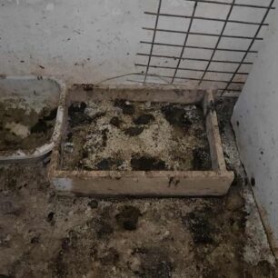 AxaiaPatraGateSyllektisKoprana29 10 2025 25