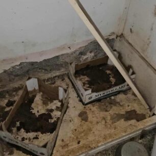 AxaiaPatraGateSyllektisKoprana29 10 2025 27