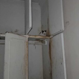 AxaiaPatraGateSyllektisKoprana29 10 2025 8