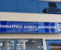 Ζητούν ξεκάθαρες απαντήσεις για τη διαχείριση των αδέσποτων από τον Δήμο Αθηναίων και τη λειτουργία του Δημοτικού Κτηνιατρείου (βίντεο)