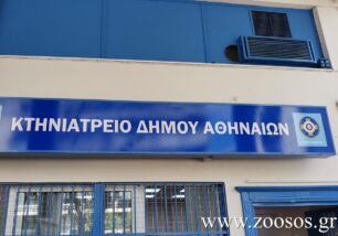 Ζητούν ξεκάθαρες απαντήσεις για τη διαχείριση των αδέσποτων από τον Δήμο Αθηναίων και τη λειτουργία του Δημοτικού Κτηνιατρείου (βίντεο)
