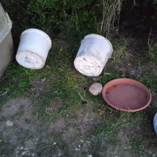 DimotikoKynokomeioPrevezas12 10 2025 22