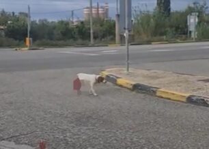 Κίνημα Δημοκρατίας: Δεν αντέχει η κοινωνία μας έναν δεύτερο «Όλιβερ»