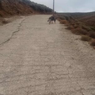 FolesAiolikoParkoAgiouKyrillouIrakleiouKritis6 10 2025 3