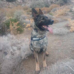 FolesAiolikoParkoAgiouKyrillouIrakleiouKritis6 10 2025 6