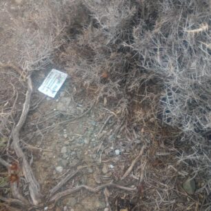 FolesAiolikoParkoAgiouKyrillouIrakleiouKritis6 10 2025 8