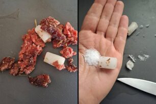 Ανάβυσσος Αττικής: Βρήκε φόλες μέσα στην αυλή σπιτιού