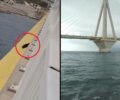 Γάτα έπεσε στη θάλασσα από τη γέφυρα Ρίου Αντιρρίου – Αδιαφόρησε η Πυροσβεστική και το Λιμενικό δεν είχε σκάφος (βίντεο)