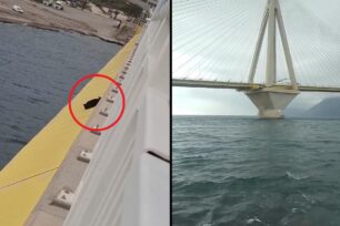 Γάτα έπεσε στη θάλασσα από τη γέφυρα Ρίου Αντιρρίου – Αδιαφόρησε η Πυροσβεστική και το Λιμενικό δεν είχε σκάφος (βίντεο)