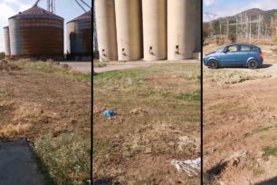 Ίασμος Ροδόπης: Ισοπέδωσαν με συνοπτικές διαδικασίες το παράνομο νεκροταφείο ζώων – Έγινε άραγε έλεγχος στα πτώματα προβάτων (βίντεο)