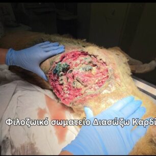 KarditsaSkylosPyrovolimenos24 10 2025 5