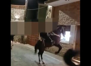 «Ιππόθεσις»: Το τσίρκο και η κακοποίηση ιπποειδών στη Λέσβο συνεχίζεται (βίντεο)