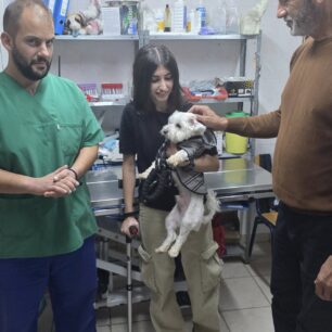 MagdalianidiNtina20 10 2025 1