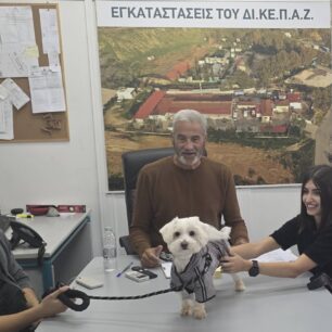 MagdalianidiNtina20 10 2025 2