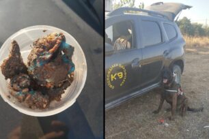 Μιδέα Αργολίδας: Ο εκπαιδευμένος σκύλος εντόπισε δηλητηριασμένο κρέας, τις φόλες που σκότωσαν δύο σκυλιά