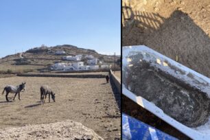 Μύκονος: Ακόμα ένας αφήνει τα άλογα του χωρίς νερό