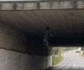 Χανιά: Καταδικάστηκε με αναστολή 34χρονος που κρέμασε σκύλο σε γέφυρα στα Νεροκούρου