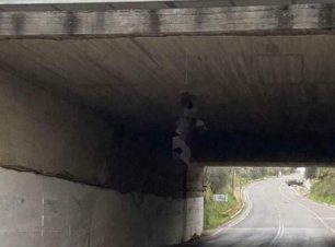 Χανιά: Καταδικάστηκε με αναστολή 34χρονος που κρέμασε σκύλο σε γέφυρα στα Νεροκούρου