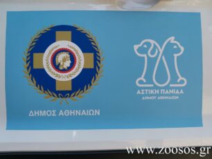 Επιβεβαιώνει κάποιες ελλείψεις στο Δημοτικό Κτηνιατρείο το Τμήμα Αστικής Πανίδας του Δήμου Αθηναίων